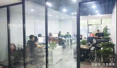 專注互聯網，用心服務社會 網絡技術開發與咨詢的雙重使命